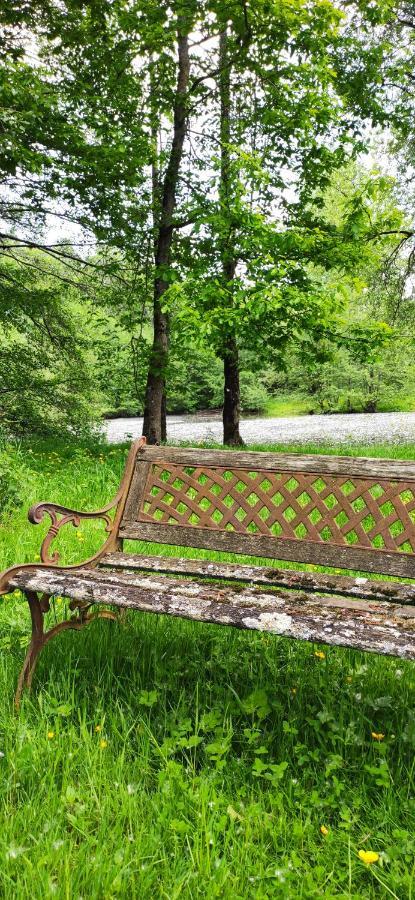 Le Gite De L'Ecurie Forges-la-Foret Extérieur photo